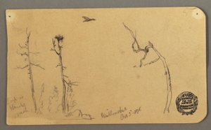 Bäume, fliegender Vogel, 1877