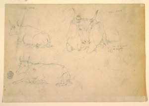 Ansichten von ruhenden Rindern, September 1844