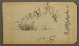 Zeichnung, bewaldetes Ufer, Baumstudie, 1878