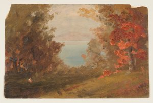 Zeichnung, Waldszene im Herbst (Hudson, New York oder Maine), 1860–70
