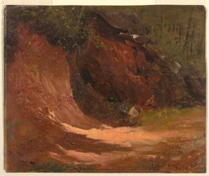 Zeichnung, Waldlandbank, Jamaika, Juni 1865