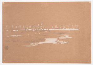 Sumpfige Landschaft bei Millinocket, Maine von Frederic Edwin Church