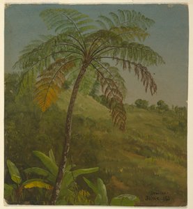 Palme, Jamaika von Frederic Edwin Church