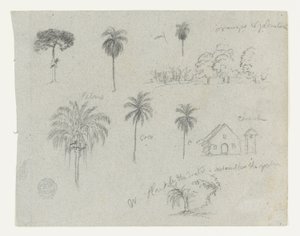 Skizzen vom Rio Magdalena, Kolumbien. Botanische Skizzen. Eine Kirche. von Frederic Edwin Church