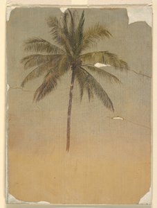 Stamm und Krone einer Palme von Frederic Edwin Church