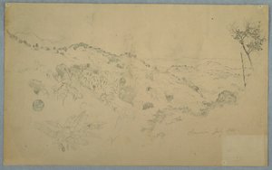 Bewaldetes Tal mit einem großen Farn und fernen Bergketten, Jamaika