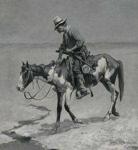 Ein Texas-Pony