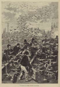 Ein Flug von Brieftauben in Belgien von Frederic Theodore Lix