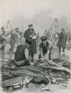 Kaviar holen in Astrachan von Frederic de Haenen