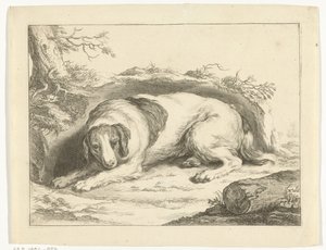 Spaniel