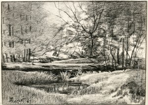 Pool in den Adirondacks