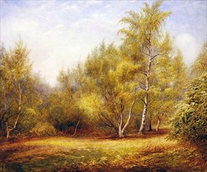 Epping Forest bei Buckhurst Hill von Frederick Henry Evans