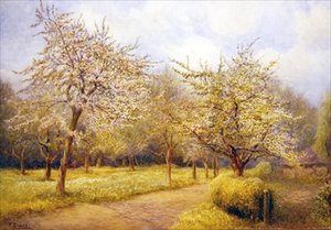 Blühende Bäume
