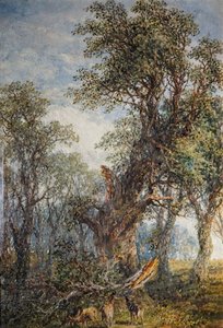 Der gebrochene Ast, 1881