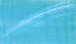 Makrelen-Schuppen und Stuten-Schwänze machen hohe Schiffe, um niedrige Segel zu tragen von Frederick Joseph Butler Lines