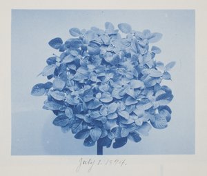 Ohne Titel, 1. Juli