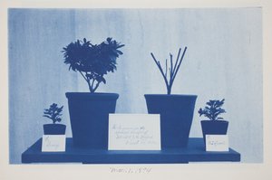 Ohne Titel, 1. März