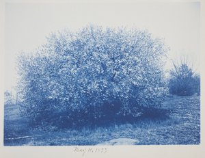 Ohne Titel, 11. Mai