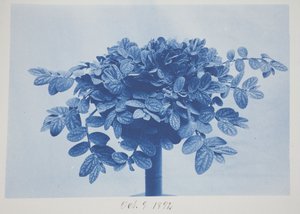 Ohne Titel, 9. Oktober