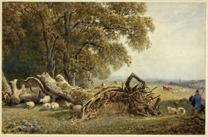 Schafe, Kühe und Hirte bei entwurzeltem Baum von Frederick Nash