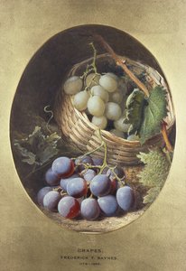 Rote und weiße Trauben
