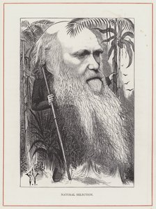 Charles Darwin, Natürliche Selektion