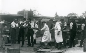 Ein 20 Fuß langer Python, der von elf Mitgliedern des Zoologischen Gesellschaftspersonals getragen wird, Londoner Zoo, Juni 1925