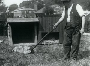 Ein Löwenjunges spielt mit einem Mopp, den sein Pfleger hält, auf dem Gras vor seinem Gehege, Londoner Zoo, September 1925 von Frederick William Bond
