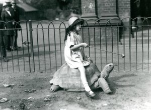 Ein kleines Mädchen, Betty, hält einen Stock mit einem Apfel am Ende, um die Riesenschildkröte zu führen, auf der sie reitet, London Zoo, 1924 von Frederick William Bond