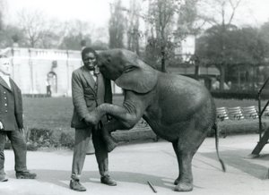 Ein junger afrikanischer Zwergelefant steht auf den Hinterbeinen, um ihren afrikanischen Trainer zu umarmen, während der Pfleger zusieht, Londoner Zoo, Juli 1925 von Frederick William Bond