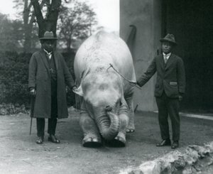 Albino-Weißer Elefant Pawah mit Dr. Saw Po Min und Sohn, Londoner Zoo, Mai 1926 von Frederick William Bond
