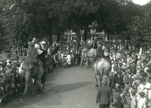 Elefantenritte, mit drei asiatischen Elefanten, beobachtet von Menschenmengen im London Zoo im August 1926 von Frederick William Bond