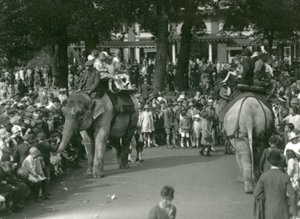 Elefantenritte, mit zwei asiatischen Elefanten, beobachtet von Menschenmengen im London Zoo im August 1926