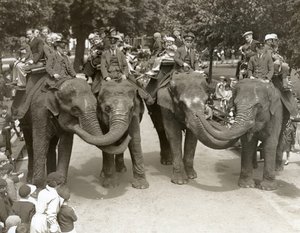 Elefantenreiten im Londoner Zoo, Juli 1936