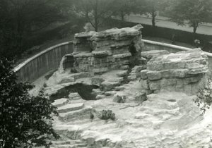 Affenhügel, gesehen von der Spitze der Mappin Terrassen, Londoner Zoo