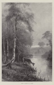 Frühling von Frederick William Hayes