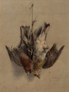 Stillleben, Lerchen von Frederick William Jackson