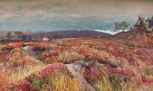 Auf der Heide Lytchett Minster von Frederick William Newton Whitehead