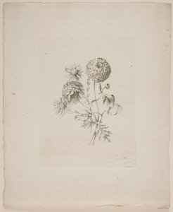 Blumenmotiv