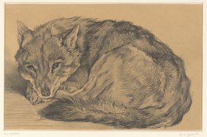 Liegender Fuchs von Frederik Willem Zürcher