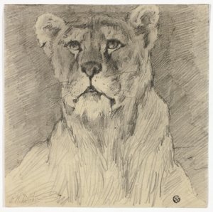 Vorderansicht einer sitzenden Löwin von Frederik William Zurcher