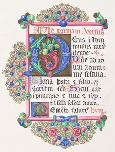 Illuminierter Buchstabe D in einem dekorierten Rahmen