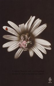 Ein junges Paar im Zentrum einer Blume mit Marienkäfer von French Photographer