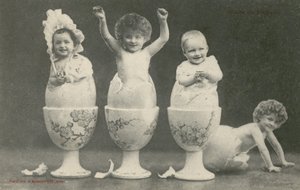 Babys schlüpfen aus Eiern in Eierbechern von French Photographer
