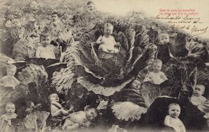 Babys im Kohlfeld (Fotokollage) von French Photographer