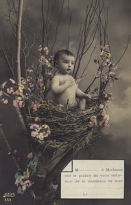 Baby in einem Nest