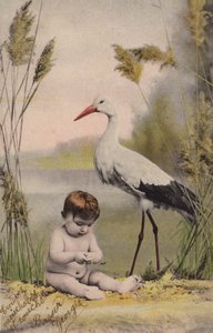 Baby mit Storch von French Photographer