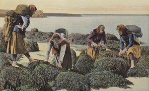 Boulogne-sur-Mer, Typen von Muschelsammlern von French Photographer