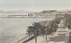 Cannes, Hafen und Altstadt, Boulevard de la Croisette von French Photographer