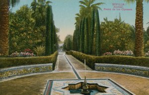 Zypressenweg, Alcazar, in Sevilla, Spanien von French Photographer